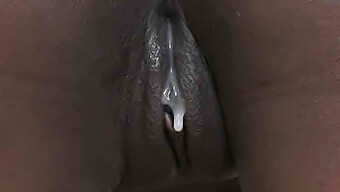 African Ebony Beauty Takes Cock In Her Vagina