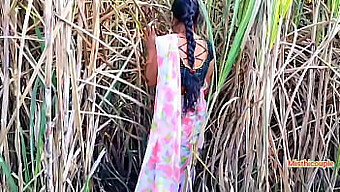 Desi Teen Gets Her Pussy Pounded In A Sugarcane Field