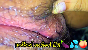 Big Clit Sri Lankan Condom Close-Up In Hd Video