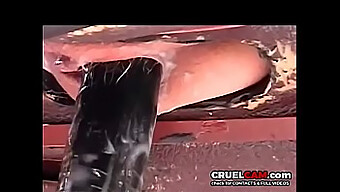 સેક્સ મશીનો અને ટોય્સ સાથે અત્યંત આનંદ - Www. Cruelcam.Com