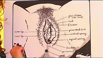 The Craft Of Cunnilingus