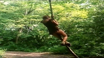 Pengalaman Hd Penuh Tarzan